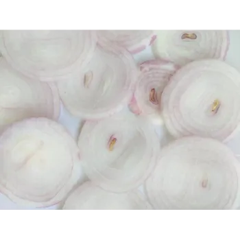 Frozen Onion (29)-3497869-48608.webp